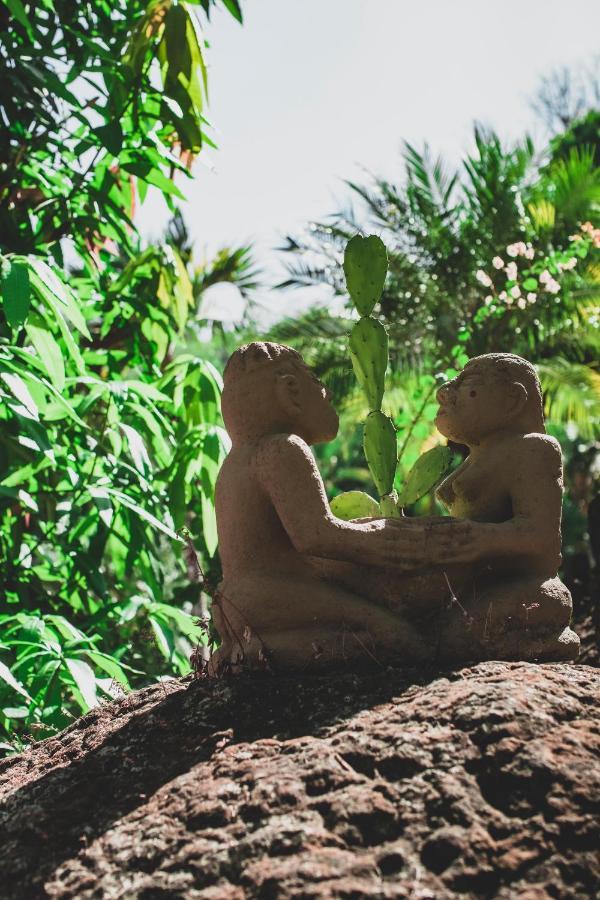 Hotel El Jardin Montezuma Luaran gambar