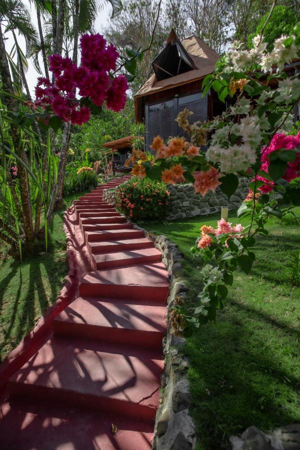 Hotel El Jardin Montezuma Luaran gambar