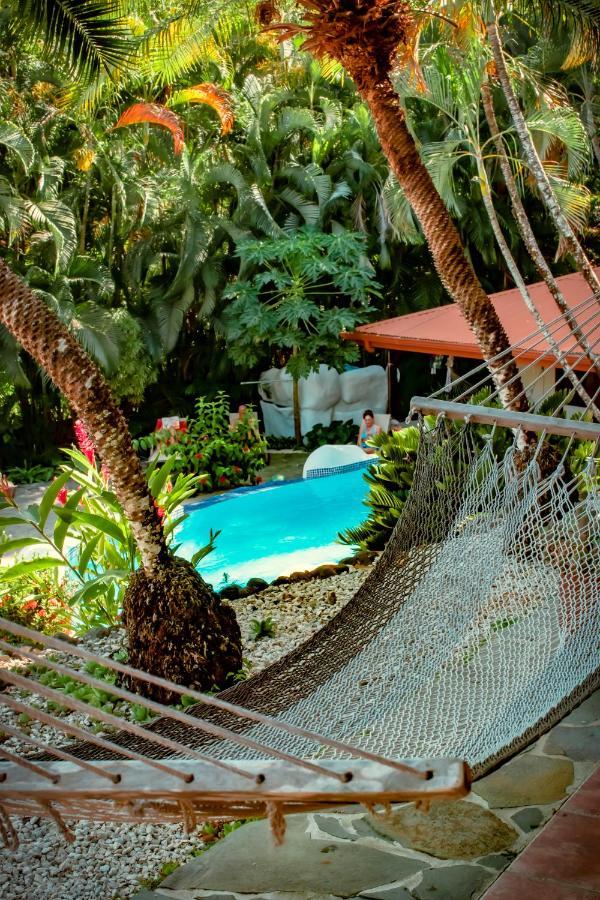 Hotel El Jardin Montezuma Luaran gambar