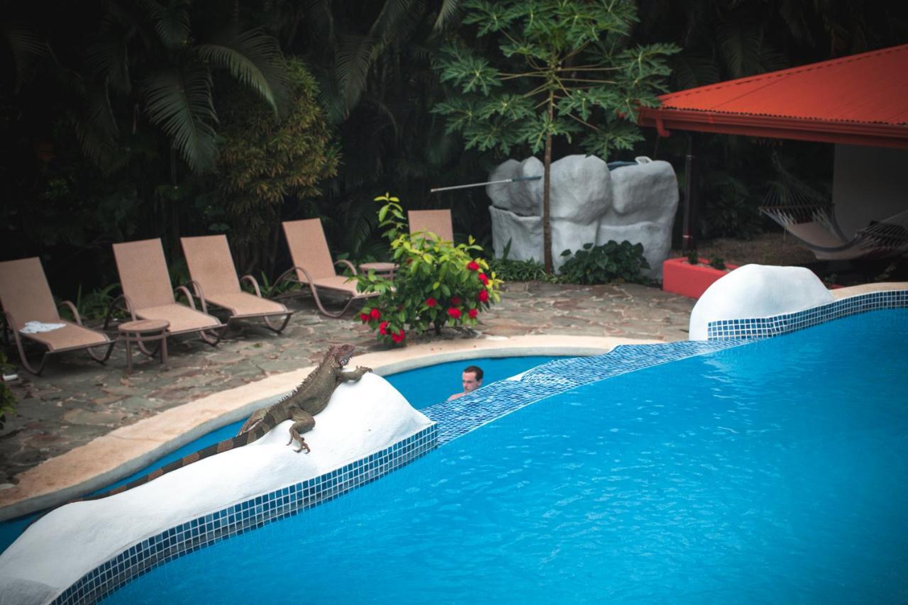 Hotel El Jardin Montezuma Luaran gambar