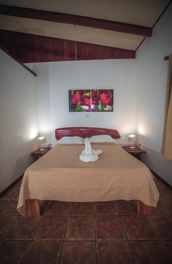 Hotel El Jardin Montezuma Luaran gambar