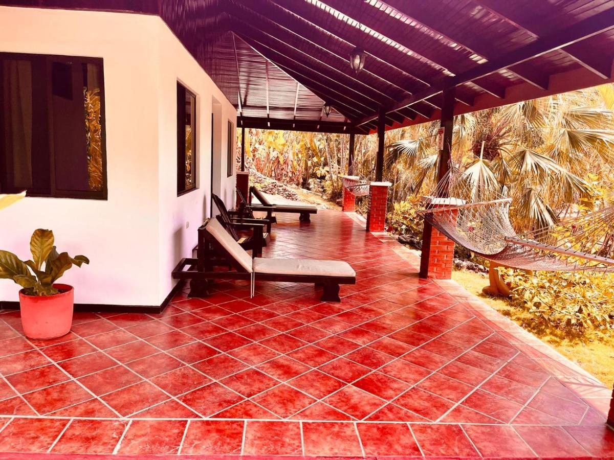 Hotel El Jardin Montezuma Luaran gambar